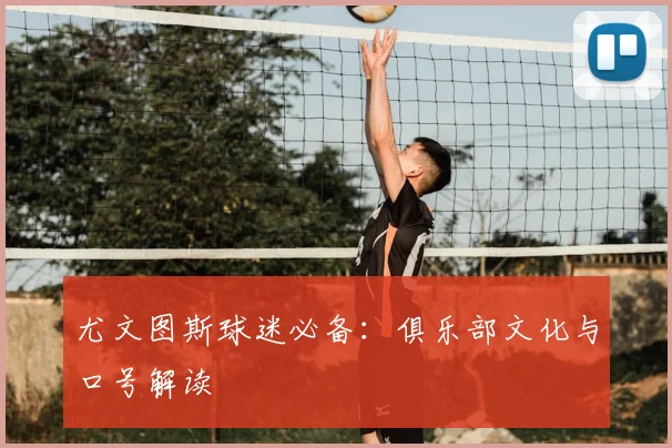 尤文图斯球迷必备:俱乐部文化与口号解读