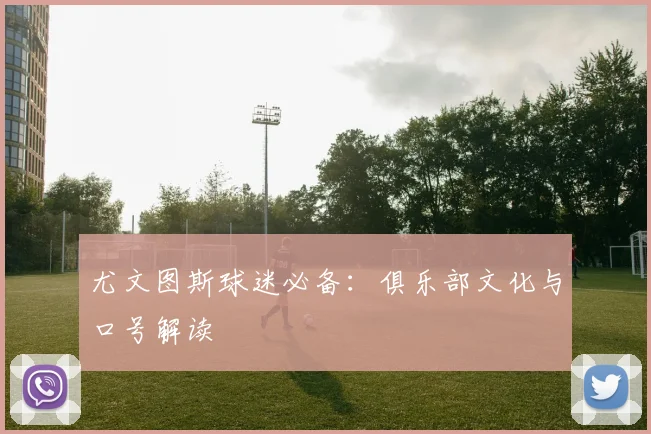 尤文图斯球迷必备：俱乐部文化与口号解读