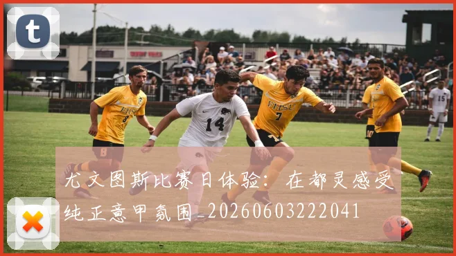 尤文图斯比赛日体验：在都灵感受纯正意甲氛围_20260603222041